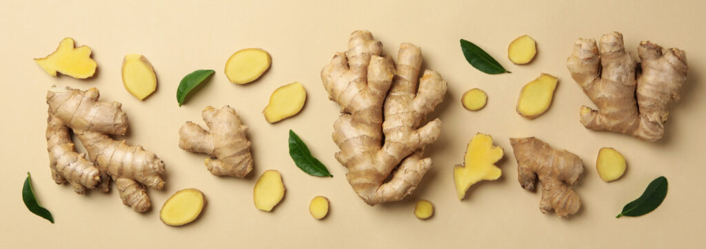 Hierbas y probióticos