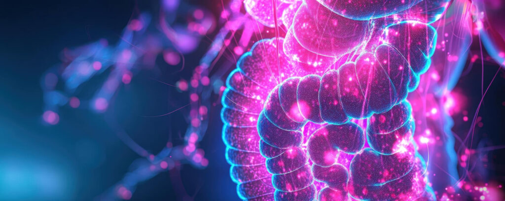 Probióticos para la diarrea