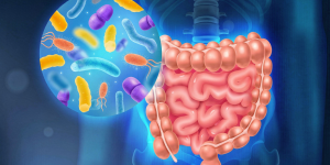 Cómo la salud intestinal influye en el bienestar diario de los niños 1