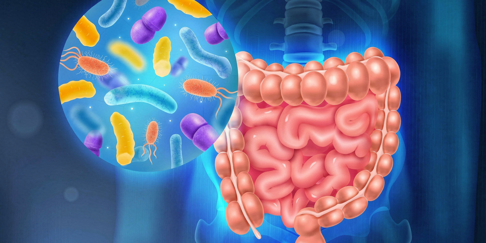 Cómo la salud intestinal influye en el bienestar diario de los niños 1