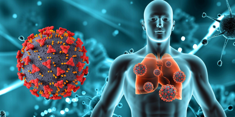 Sabías que el 70% de tu sistema inmune no está en la sangre ni en la médula ósea, sino en tu intestino Sí, ese lugar que solo recuerdas cuando te duele